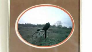 Mimir - Window