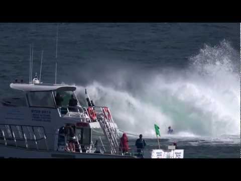 2012 IBA BOX PRO - Box is Incredible