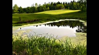 Chris Rea - Tell Me There&#39;s A Heaven