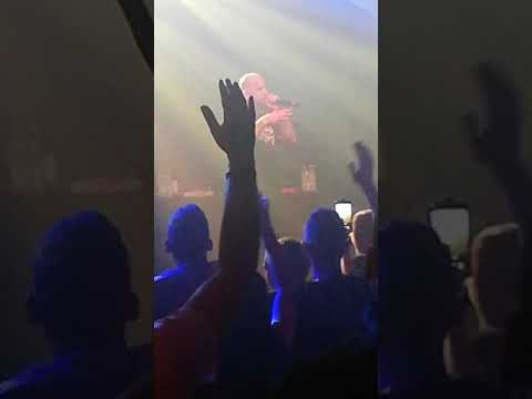 Peja W pogoni za marzeniami