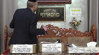 בית הכנסת מוסאיוף  •  יום ראשון יט' אדר תשפ'ו (בית הכנסת מוסאיוף) - התמונה מוצגת ישירות מתוך אתר האינטרנט יוטיוב. זכויות היוצרים בתמונה שייכות ליוצרה. קישור קרדיט למקור התוכן נמצא בתוך דף הסרטון