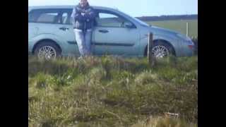 Seals on Orkney Islands - Tuleni na Orknejích.