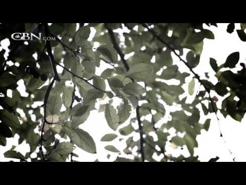 Witness21 Editor  2014 03 27