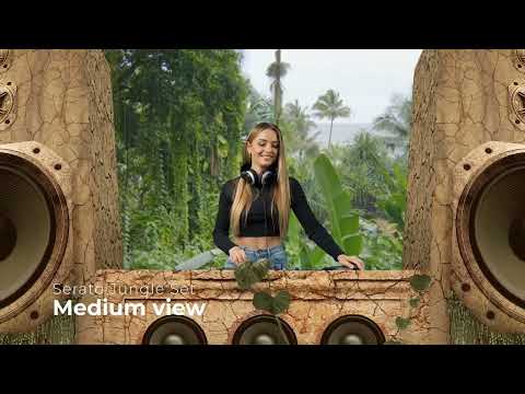 dj-various: jungle set