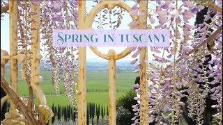 RENOVATING A RUIN: Spring in Tuscany, Italy (Ep 39)
