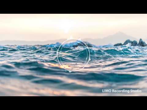 Still Here Fighting (LeForce Remix) - Sture Zetterberg