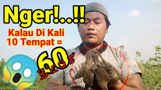 Download lagu Terlalu Mudah Di Pikat,Mikat Burung Kerak Basi Poin 6 ekor @SobatPikat mp3