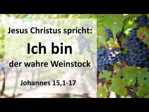 Jesus Christus spricht: Ich bin der wahre Weinstock | Predigt
