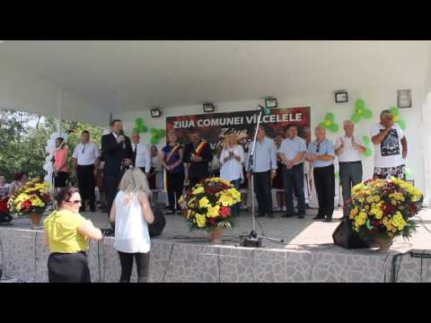 Ziua Comunei Valcelele, 2016