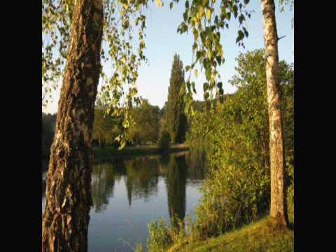 Marcel Pavel - Te Iubesc