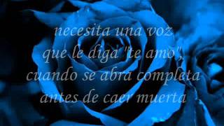 Gloria Trevi - Una rosa blu (cover)