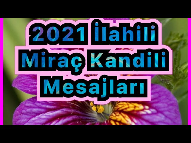 土耳其中Miraç Kandili的视频发音