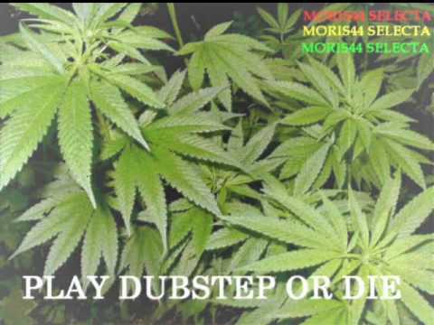 REGGAE DUBSTEP MIX vol. 8 by MORIS44 (6blocc johnny clarke junior byles million stylez)