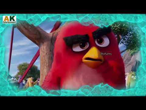 Ziddul Motkopry - Angry Birds - AK Entertainment Rawalakot -  - Funny Pahaari Dubbed
