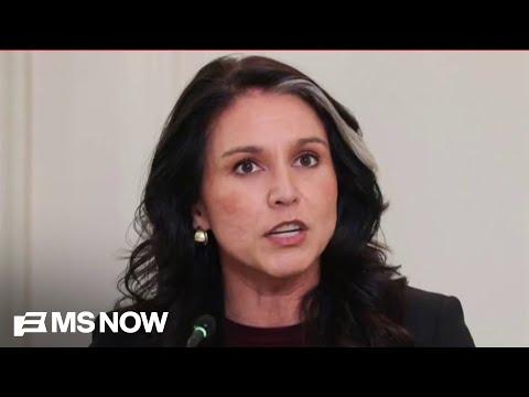 STUNNING report reveals Tulsi Gabbard's political messaging steered by 'guru' behind the scenes