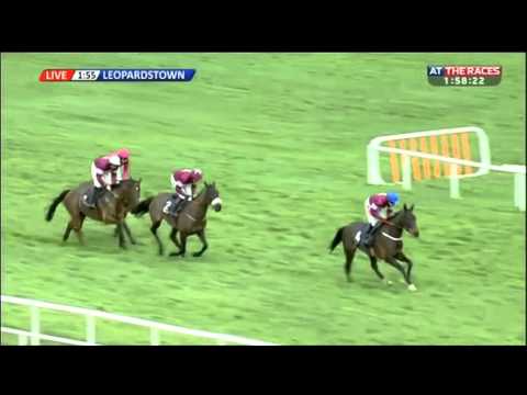 No More Heroes - Neville Hotels Novice Chase (Grade 1) - 2015