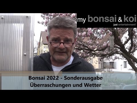 Bonsai 2022-15 - Sonderausgabe - Überraschungen und Wetter
