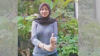 Download lagu ukhti nya meresahkan!! no bh mp3