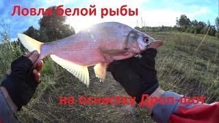 Ловля на микро дропшот