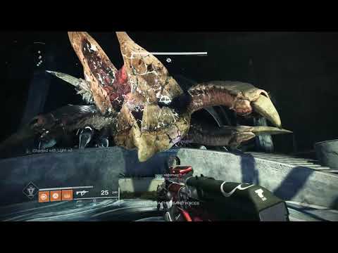 How to Cheese Riven after the sword Nerf - Deafening Whisper One Phase.