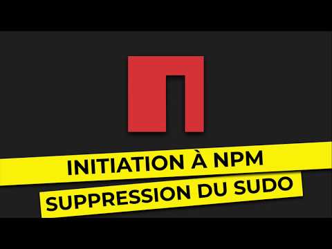 NPM Initiation Supprimer le sudo pour l installation globale 8 10