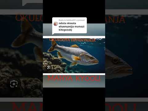 OKULOOTA NGA OVUBA EBYENYANJA (DREAM ABOUT FISHING) (07,62,41,30,13)