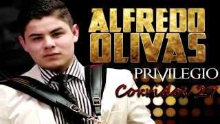 Alfredo Olivas - Laberinto 2015