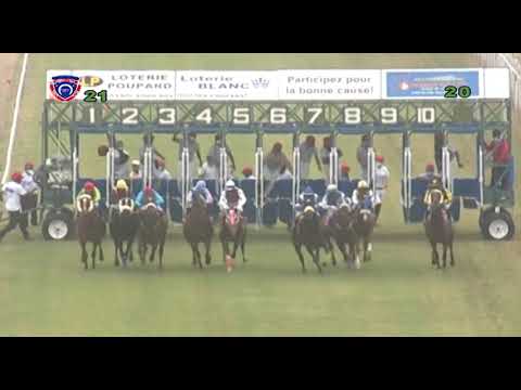 RM2 R1 | Seven Carat | R.Bheekary