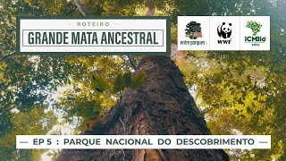 Miniatura do vídeo