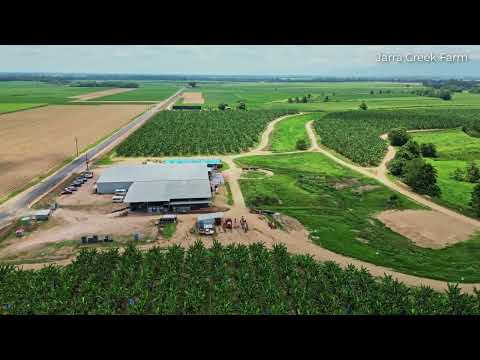 'Jarra' and 'Dingo Pocket'  - Nutrien Harcourts Tully