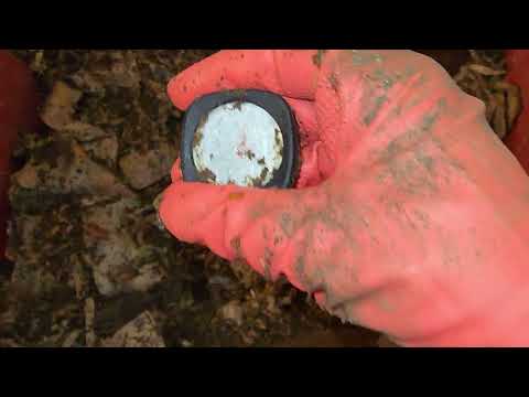 Mixed Worm Bin 1 Check-In & Feeding After 17 Days 27 December 2025 #compostingworms #wormbin