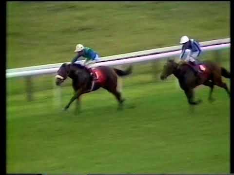 1990 Tattersalls Cheveley Park Stakes