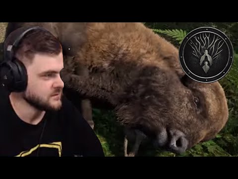 Polowanie na ŻUBRY - Medieval Dynasty #9