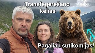 Rumunija - pagaliau išsipildė mūsų svajonė! Transfegerešano kelias ir Poenari pilis #10