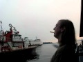 Feeding Seagulls French Fries