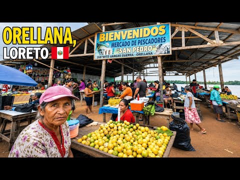 ASÍ ES ORELLANA 🇵🇪 | La realidad de la selva amazónica