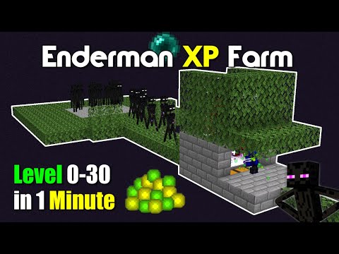 Minecraft Enderman XP Farm Tutorial 1.20 | Easy Super Fast XP Farm