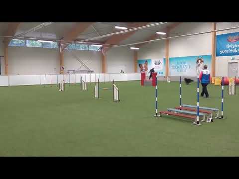 Jyty ja Pate Tamsk 19.10.2019 Hypäri Maksi1