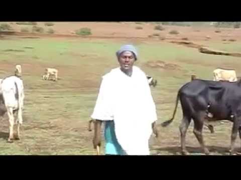 Ager Lasayish - Gojjam Cultural Music by Solomon Demissie