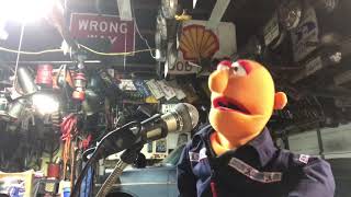 Muppet whatnot attempt at Angry Johnnys song “Poor little racoon”
