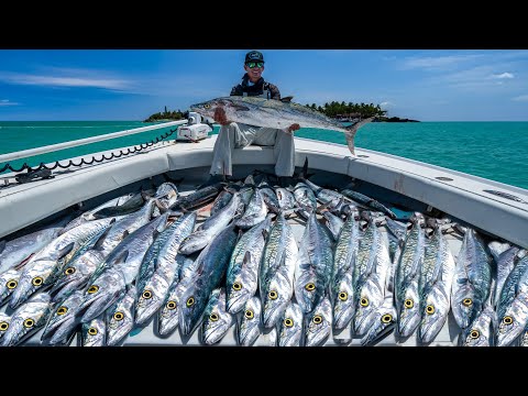 HUGE Payday... 1,000lb Fish HAUL (Commercial Fishing Florida)