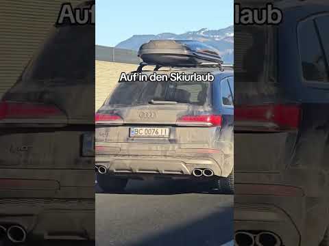 Auf in den Skiurlaub #deutschland #politik #afd #deutsch #lustig #ukraine #ukrainewar #russia #fypシ