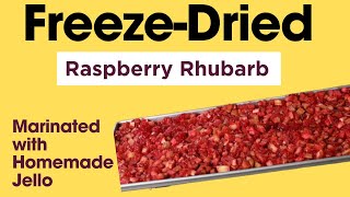 Freeze-Dried Raspberry Rhubarb with Homemade Jell-O (No Freeze Dryer? No Problem!)