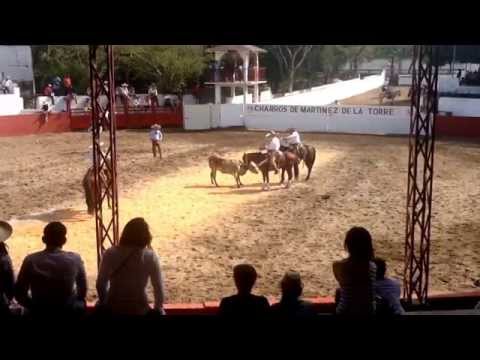 Pial de Ruedo Pico del Valle, Charreada DIF Martínez de la Torre, Ver. Marzo 22, 2014