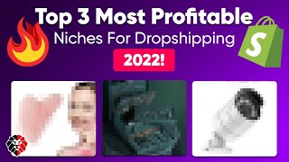 Top 3 Most Profitable Niches For Dropshipping in 2022 📈