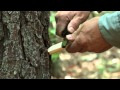 Total Outdoorsman: How to Carve a Fuzz Stick