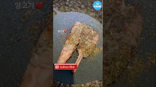 Sweet Girls 😘 #shorts #tiktok #tiktokcool #trend #girls #bikini