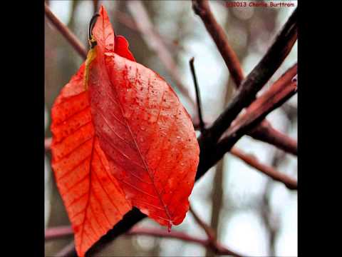 Nanci Griffith & Tom Russell - "Summer Wages"