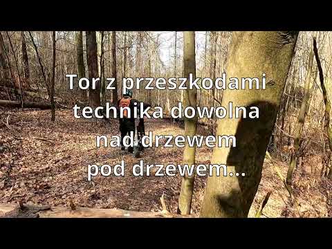 Książ Stary i Nowy. Drzewny tor przeszkód