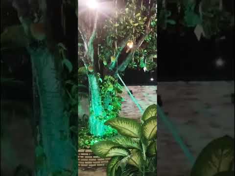 Chuva em Serrinha dos Pintos RN